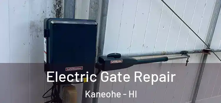 Electric Gate Repair Kaneohe - HI