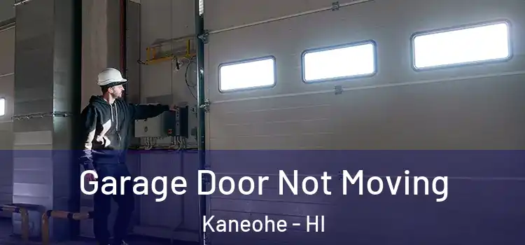  Garage Door Not Moving Kaneohe - HI