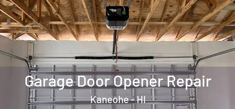  Garage Door Opener Repair Kaneohe - HI