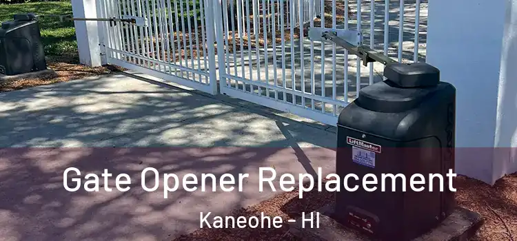 Gate Opener Replacement Kaneohe - HI