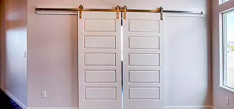 Glass Barn Door with Installation Hardware Kit Kaneohe
