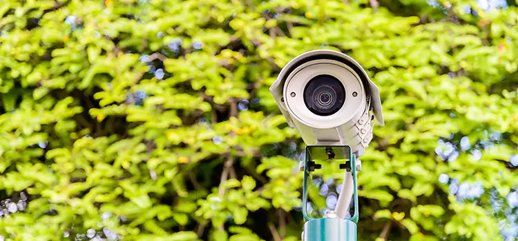 Advanced Surveillance Solutions for Every Need in Kaneohe