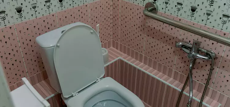 Meeting Diverse Needs With Accessible Restroom Solutions in Kaneohe, HI