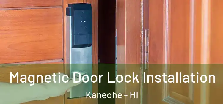  Magnetic Door Lock Installation Kaneohe - HI