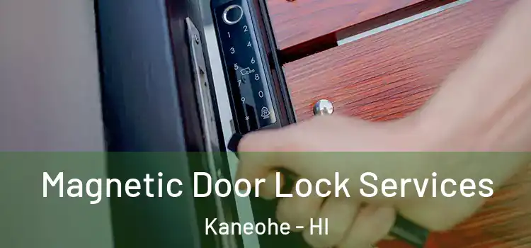 Magnetic Door Lock Services Kaneohe - HI