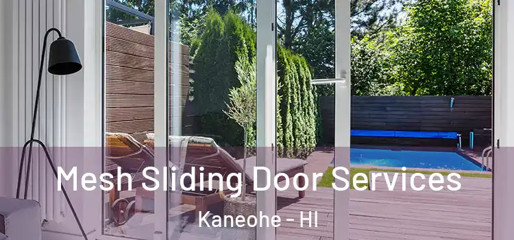 Mesh Sliding Door Services Kaneohe - HI